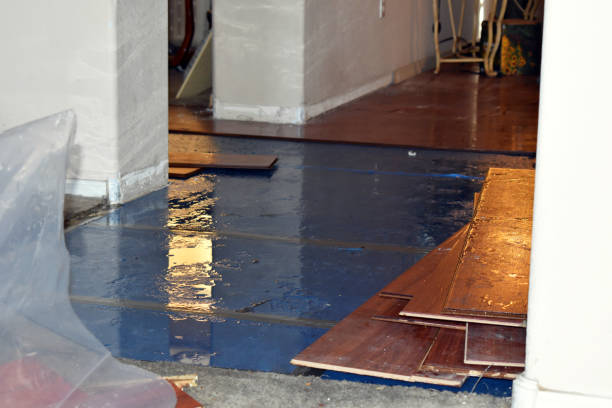 Professional Basement Flood Cleanup technician working in Byfield, MA